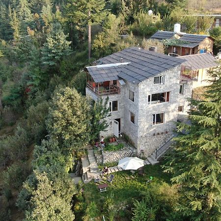 Nature Lover'S Paradise-Tirthan Valley Jibhi Exterior foto